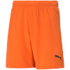 Lühikesed püksid Kids Puma Teamrise Short Jr oranž 704943 08 128cm
