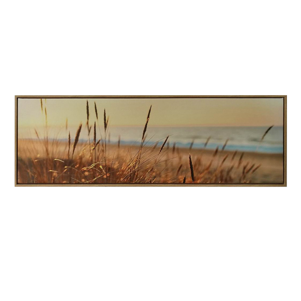 H4Y seinapilt Wally, 30x90cm, kõrkjad