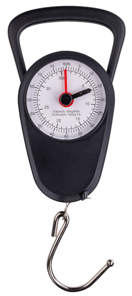 Feru reisipagasikaal