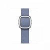Apple kellarihm Watch Lavender Blue Modern Buckle 41 mm - L