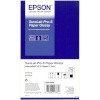 Epson 1x2 SureLab Pro-S Paper Glossy 102 mm x 65 m 254 g BP