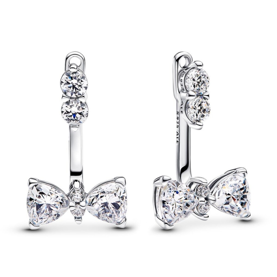 Pandora naiste kõrvarõngad 293543C01 Hõbedane