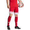 Lühikesed püksid meestele Adidas Squadra 25 punane JE7745 XL