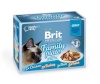 Brit kassitoit Premium Cat Pouch Gravy Fillet Family Plate, 12x85g