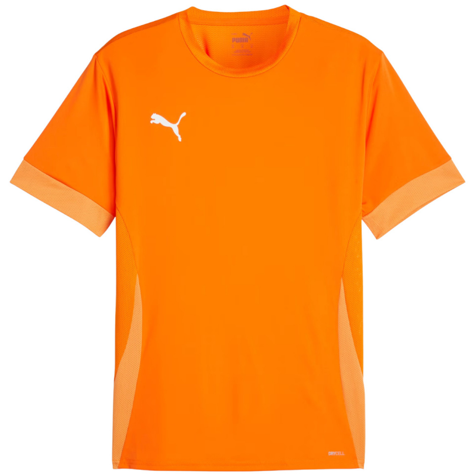Puma T-särk meestele Teamgoal Matchday Jersey oranž 705747 08 suurus S