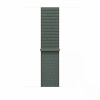 Apple kellarihm Watch Watch 46mm Sage Sport Loop