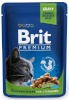 Brit kassitoit Premium Cat Chicken Sterilised, 100g