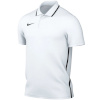 Nike Team T-särk meestele Dri-Fit Park 26 Polo valge HM7136 100 suurus S