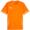 Puma T-särk meestele Teamgoal Matchday Jersey oranž 705747 08 suurus L