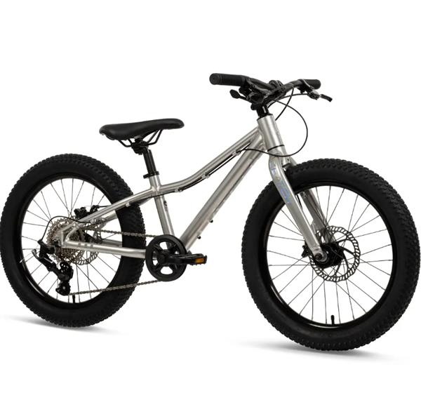 Batch Bicycles 20" MTB hõbedane
