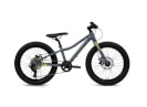 Batch Bicycles 20" MTB CHAMELEON