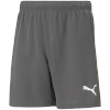 Lühikesed püksid Kids Puma Teamrise Short Jr hall 704943 13 140cm