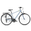 Romet Wagant 0 2024 28" 19" M, hall-roheline