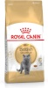 Royal Canin kuivtoit kassile Adult British Shorthair, 2kg