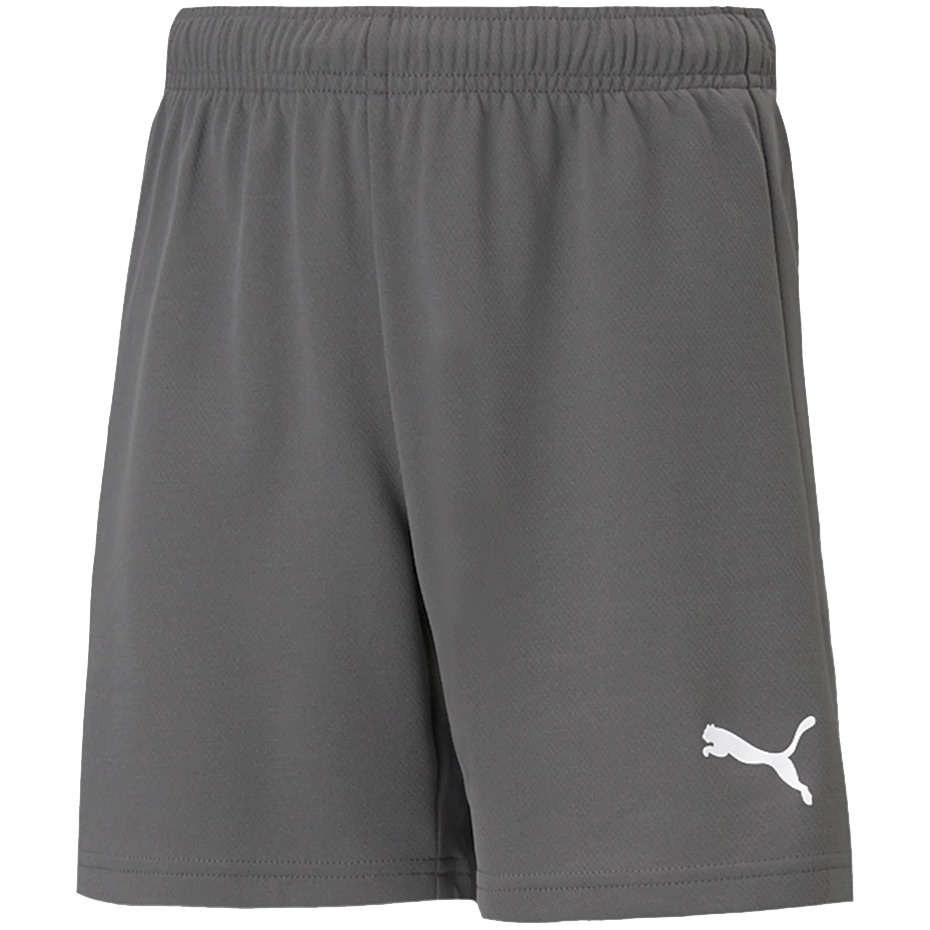 Lühikesed püksid Kids Puma Teamrise Short Jr hall 704943 13 152cm