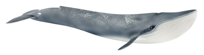 Schleich mängufiguur Wild Life 14806 Blue Whale