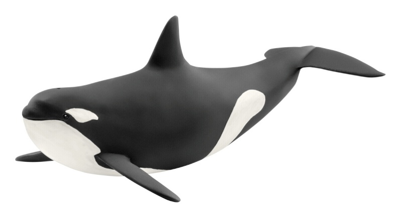 Schleich mängufiguur Wild Life Orka 14807