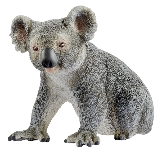 Schleich mängufiguur Wild Life 14815 Koala Bear