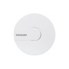 Intellinet Wireless ceiling mount access point 300N 2T2R MIMO 300Mb/s 2,4GHz PoE