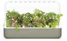 Click & Grow stardikomplekt Smart Garden 9, beež