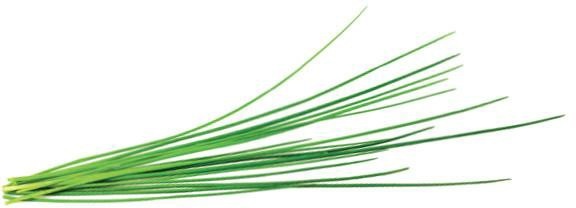 Click & Grow Smart Garden refill Murulauk 3tk