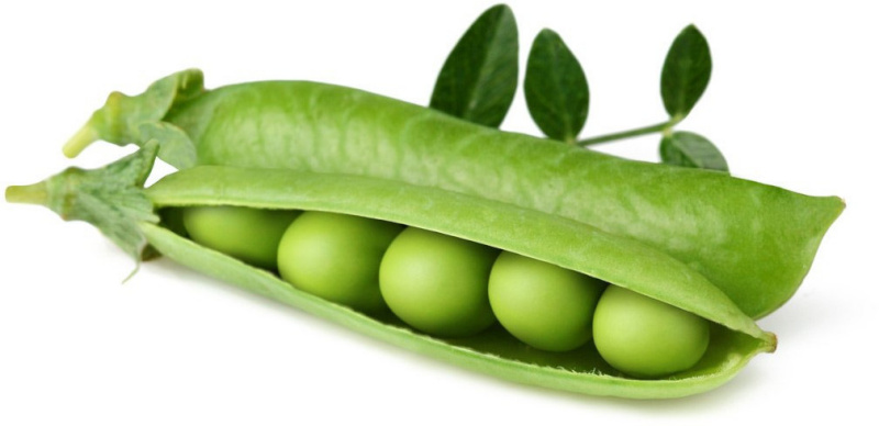 Click & Grow Smart Garden refill Hernes 3tk