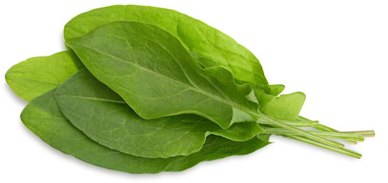 Click & Grow Smart Garden refill Hapuoblikas 3tk