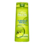 Garnier sirgendav šampoon Fructis Fuerza & Brillo 2 en 1 Fructis Fuerza Brillo (360ml) 360ml