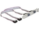 Delock kaabel Slot Bracket > 2 x Serial DB9