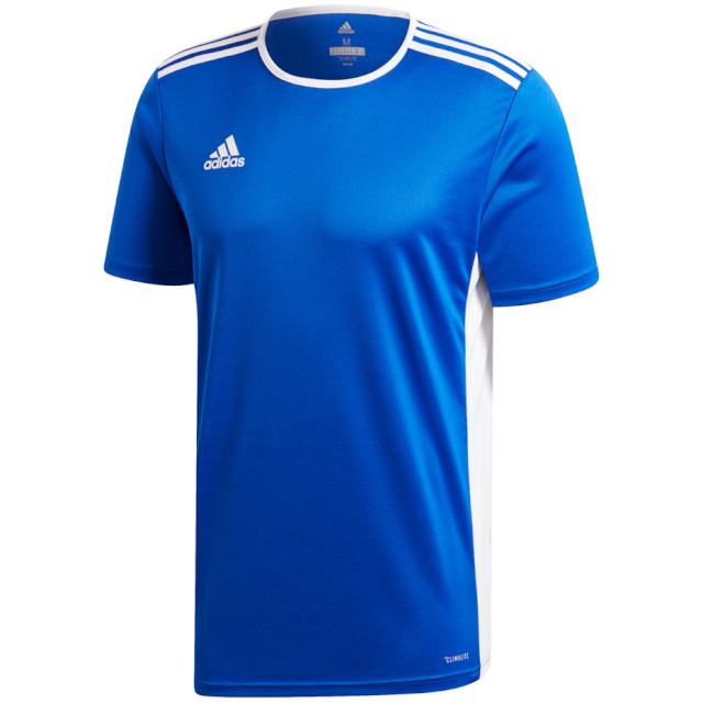 Adidas Teamwear T-särk meestele Entrada 18 Jersey sinine CF1037 , suurus XL