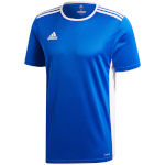  Adidas Teamwear T-särk meestele Entrada 18 Jersey sinine CF1037 , suurus L
