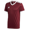 Adidas Teamwear T-särk lastele Tabela 18 Jersey Junior karmiinpunane CE8945/CE8926 128cm