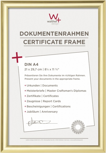Walther pildiraam Trendstyle 21x29,7 Plastic kuldne