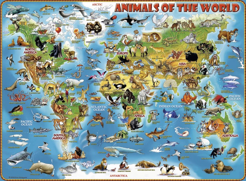 Ravensburger pusle Maailma loomad, 300psc., 13257
