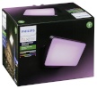 Philips väline seinavalgusti Hue Discover LED Outdoor Wall Light Floodlight must