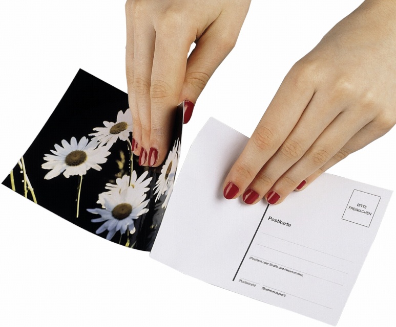 1x10 Hama Postcard label 10x15 7950