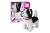 Artyk liikuv mänguasi väike koer, Walking Dog Edu&Fun valge-must