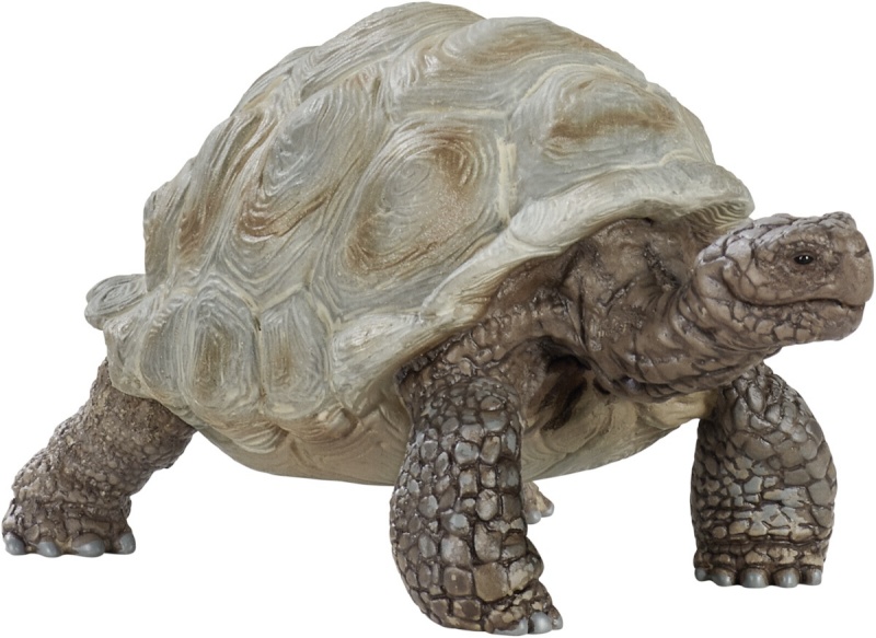 Schleich mängufiguur Wild Life 14824 Giant Tortoise, hiigelkilpkonn