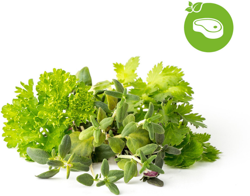 Click & Grow Plant Pod Steak Mix 9tk