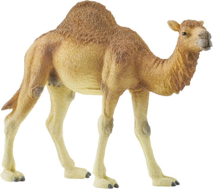 Schleich mängufiguur Wild Life 14832 Dromedary
