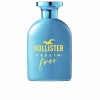 Hollister naiste parfüüm Feelin' Free EDT 100ml