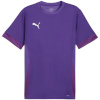 Puma T-särk meestele Teamgoal Matchday Jersey violetne 705747 10 suurus L