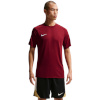 Nike Team T-särk meestele Dri-Fit Park Viii bordoopunane HV8173 677 suurus XL