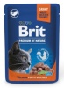 Brit kassitoit Premium by Nature with Salmon for Sterilised, 100g