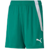 Lühikesed püksid Kids Puma Teamliga Shorts Jr roheline 704931 05 128cm