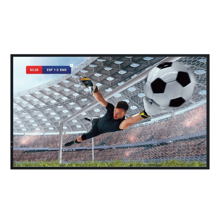 Hisense monitor 55DM66D 55 inches 4K UHD IPS DS Display 24/7