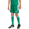 Lühikesed püksid Kids Adidas Tiro 26 League roheline KA8812 128cm