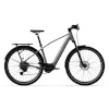 TENWAYS elektrijalgratas AGO X Special Edition, 29" Silver