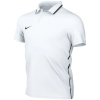 Nike Team T-särk lastele Dri-Fit Park 26 Polo valge HM7145 100 suurus L
