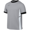 Nike Team T-särk meestele Dri-Fit Academy SS Top hall FZ9754 012 suurus XXL